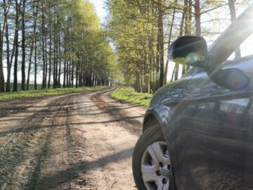 Reaktywacja leśnego parkingu w Grzybowie