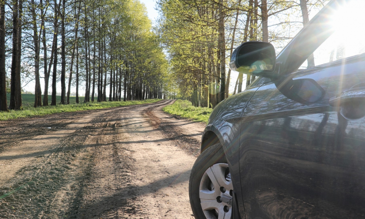 Reaktywacja leśnego parkingu w Grzybowie