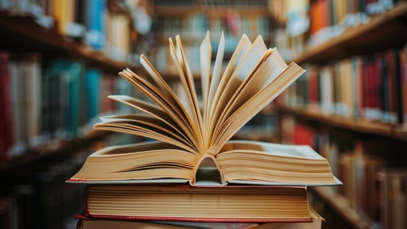 Odkryj radość z kolorowymi kamyczkami w Bibliotece Ogrody!