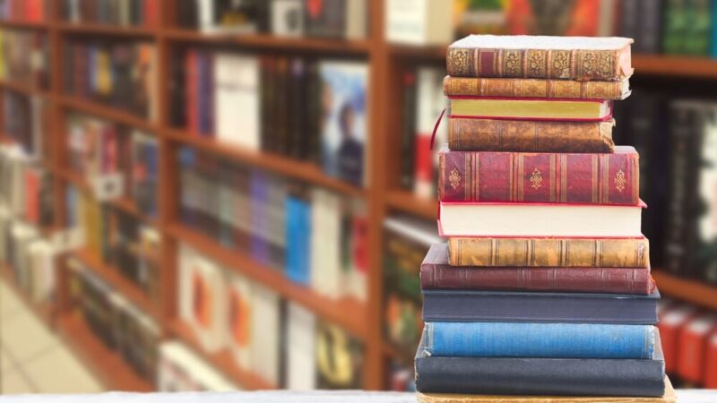 Przyroda ożywa w bibliotece: dzieci odkrywają „Las w sieci