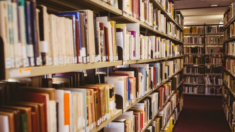 Herbaciane rozmowy o Jane Austen w Dyskusyjnym Klubie Książki