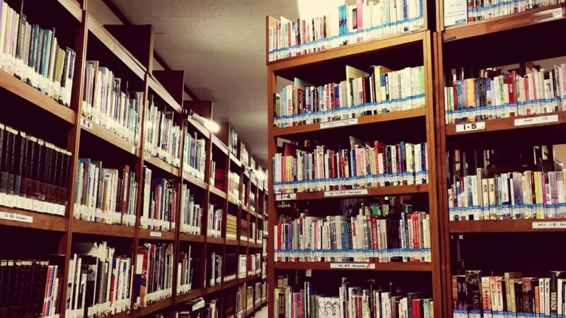 Twórcze warsztaty z masy papierowej w Bibliotece Młodzieżowej