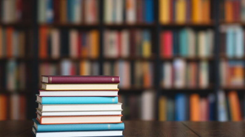 Ilona Wiśniewska zabiera w podróż na Północ w Miejskiej Bibliotece w Kołobrzegu