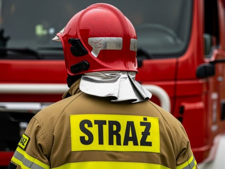 Wiosenna kampania: Powiedz STOP wypalaniu traw!