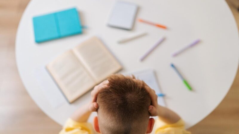 Nowa oferta Uniwersytetu Trzeciego Wieku w Kołobrzegu