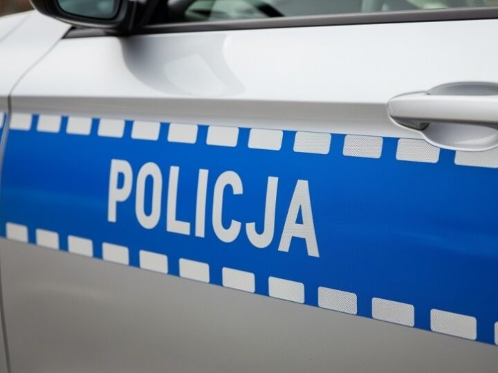 Policja interweniuje w Kołobrzegu: kucyki na drodze uratowane przed niebezpieczeństwem