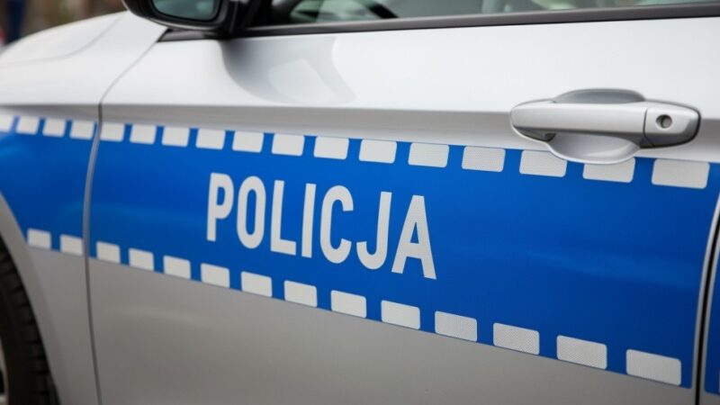 Policja interweniuje w Kołobrzegu: kucyki na drodze uratowane przed niebezpieczeństwem