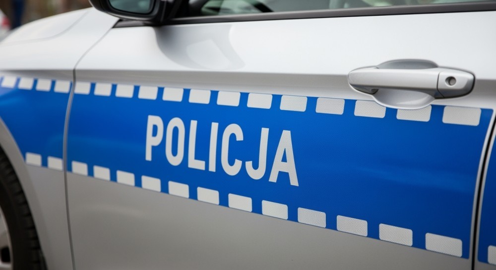 Policja interweniuje w Kołobrzegu: kucyki na drodze uratowane przed niebezpieczeństwem