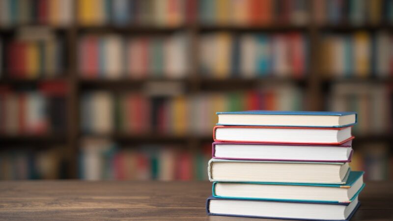Zakończenie wakacyjnych przygód w Bibliotece Ogrody: radość bez ekranów