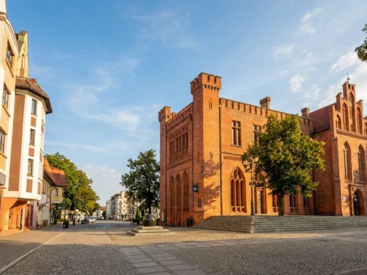 Warsztaty o klimacie i słowie w Bibliotece Ogrody