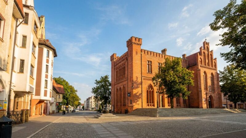 Warsztaty o klimacie i słowie w Bibliotece Ogrody