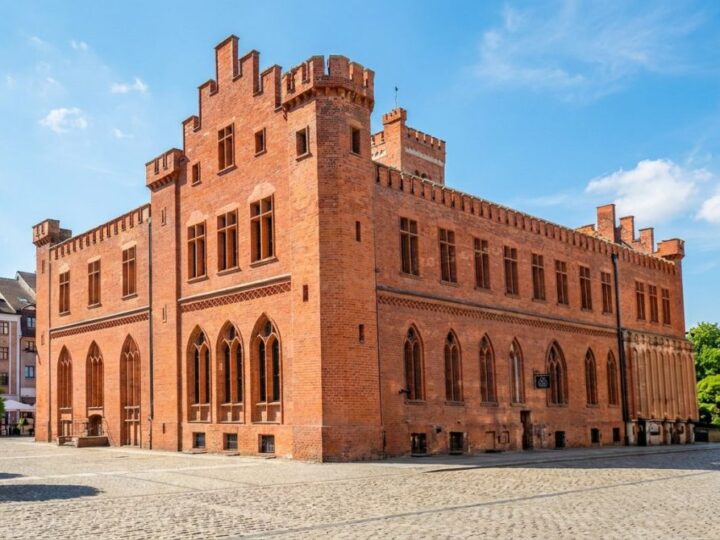 Wydział Komunikacji rusza przy Gryfitów 10