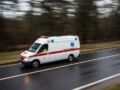 Zgubiła się w lesie podczas grzybobrania – jak bezpiecznie wrócić do domu?
