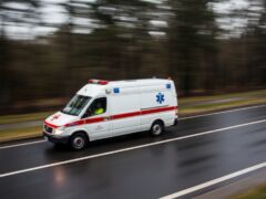 Zgubiła się w lesie podczas grzybobrania – jak bezpiecznie wrócić do domu?